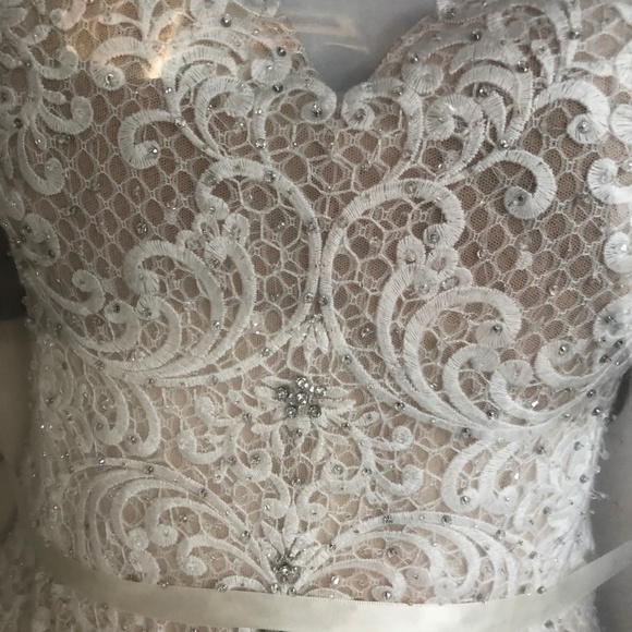 Victor Harper Couture Wedding Dress! - Picture 4 of 8